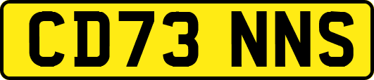 CD73NNS
