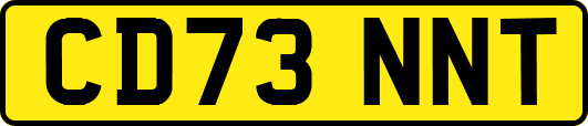 CD73NNT