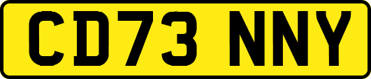 CD73NNY