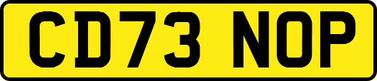 CD73NOP