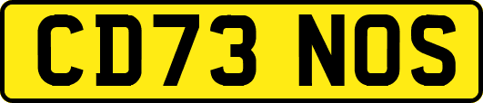CD73NOS