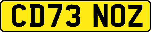 CD73NOZ
