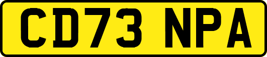 CD73NPA