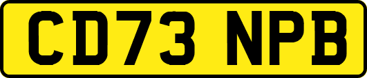 CD73NPB