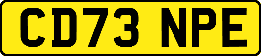 CD73NPE
