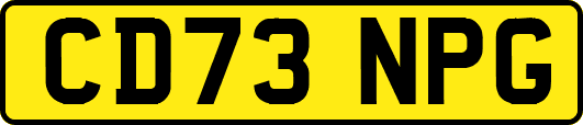 CD73NPG