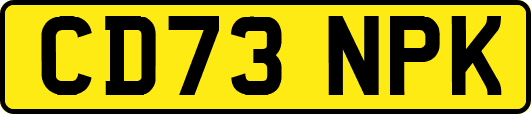 CD73NPK