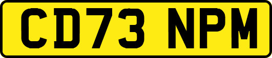 CD73NPM
