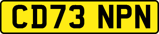 CD73NPN