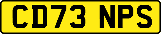CD73NPS