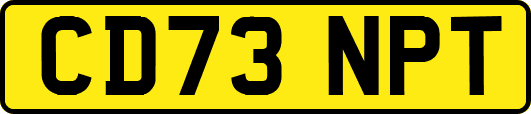 CD73NPT
