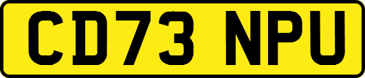 CD73NPU
