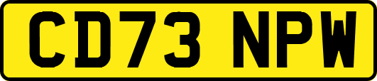 CD73NPW