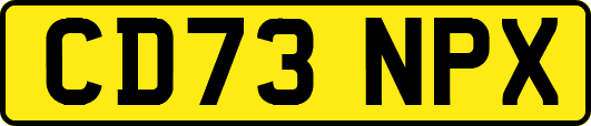 CD73NPX