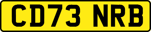 CD73NRB