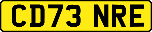 CD73NRE