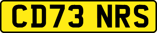 CD73NRS