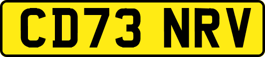 CD73NRV