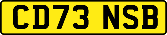CD73NSB