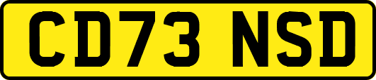CD73NSD