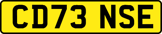 CD73NSE