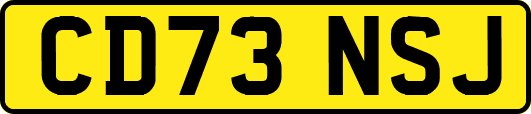 CD73NSJ
