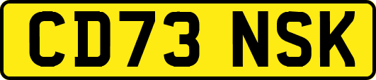 CD73NSK