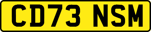 CD73NSM