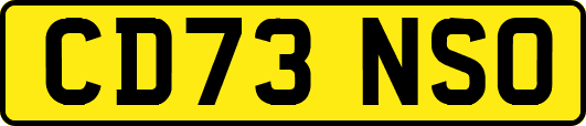 CD73NSO