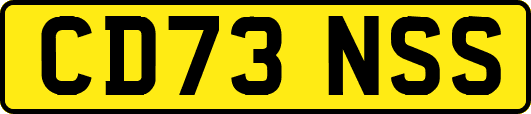 CD73NSS