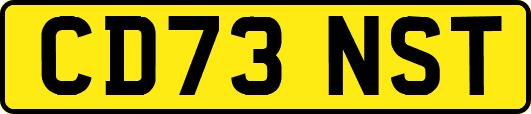 CD73NST