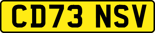CD73NSV