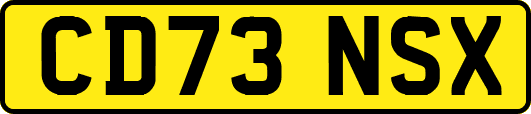 CD73NSX