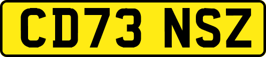 CD73NSZ