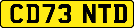 CD73NTD