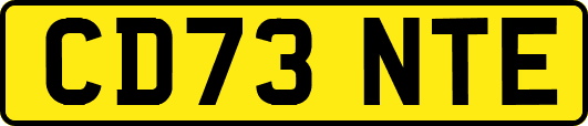 CD73NTE