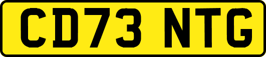 CD73NTG