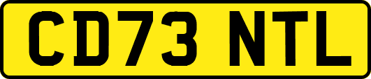 CD73NTL