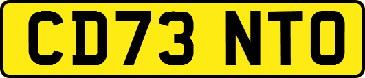 CD73NTO