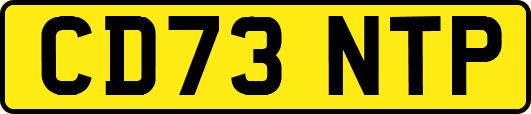 CD73NTP