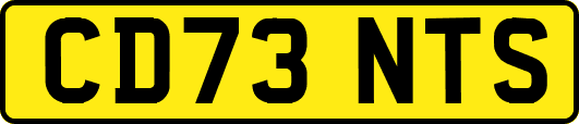 CD73NTS