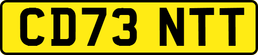 CD73NTT