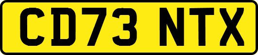 CD73NTX