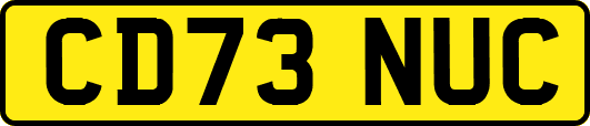 CD73NUC