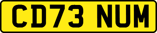 CD73NUM