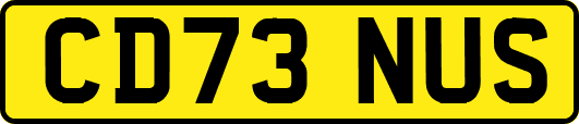 CD73NUS