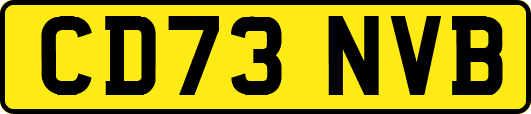 CD73NVB