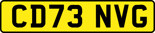 CD73NVG