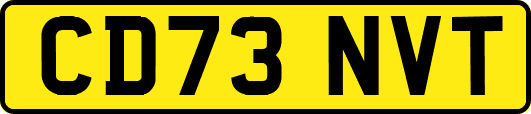 CD73NVT