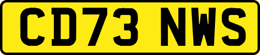 CD73NWS